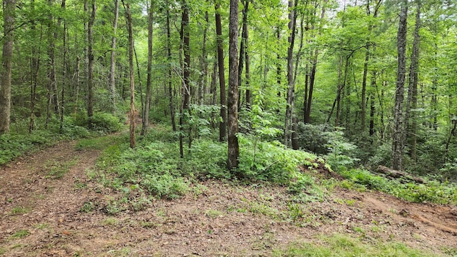 000 Tumbling Creek Rd, Copperhill, TN 37317
