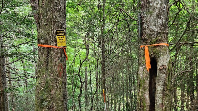 000 Tumbling Creek Rd, Copperhill, TN 37317