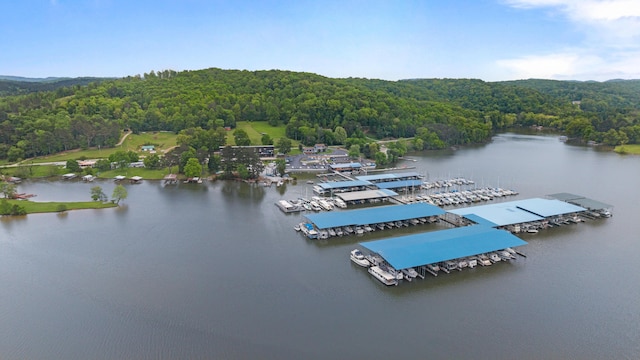 bird's eye view featuring a water view and a wooded view