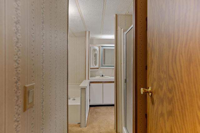 hallway featuring a sink, a textured ceiling, and light colored carpet