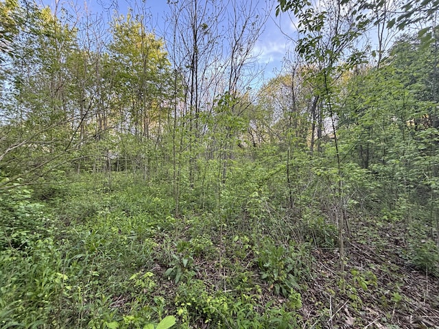 0 Boyd St, Englewood, TN 37329