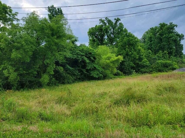 2220 Ruritan Rd, Harriman, TN 37748 - photo 1
