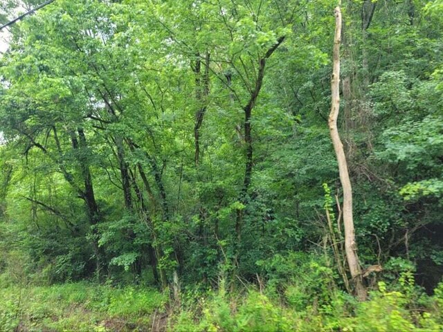 2220 Ruritan Rd, Harriman, TN 37748 - photo 5