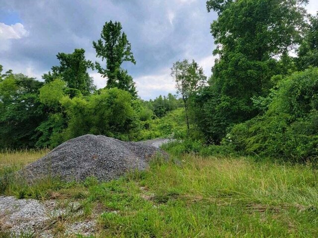2220 Ruritan Rd, Harriman, TN 37748 - photo 9