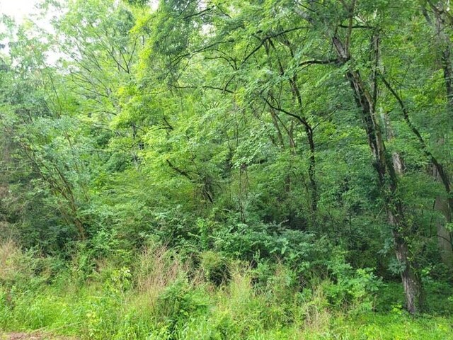 2220 Ruritan Rd, Harriman, TN 37748 - photo 6