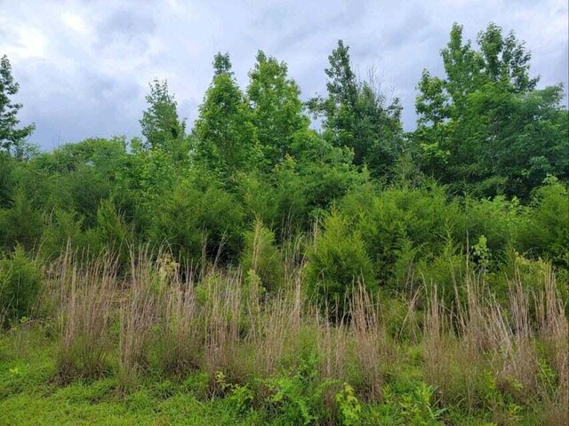 2220 Ruritan Rd, Harriman, TN 37748 - photo 4