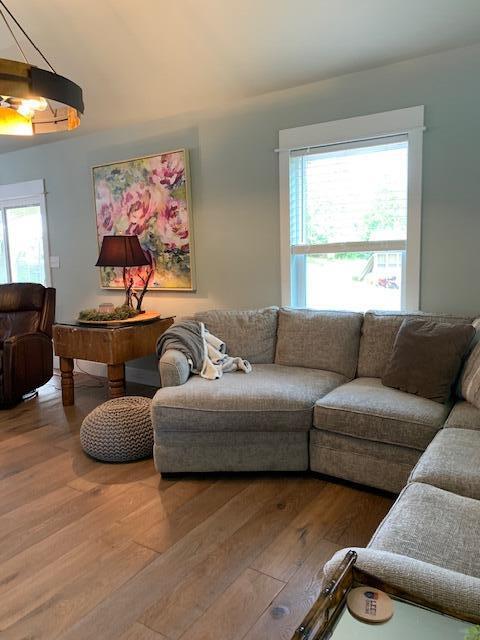 living room with hardwood / wood-style floors and a wealth of natural light