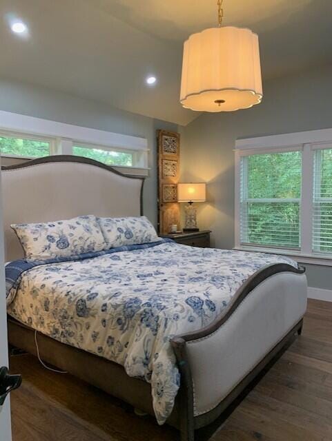 bedroom featuring dark hardwood / wood-style flooring and multiple windows