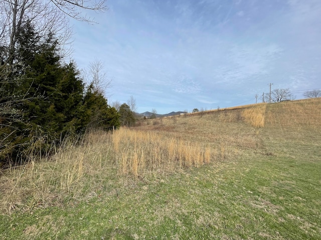 Listing photo 3 for 2.51AC High St, Tellico Plains TN 37385