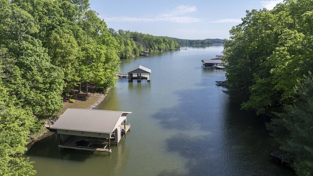 436 Oak Hills Drive Lots 4.5 & 6, Spring City, TN 37381 - dock area with a water view and a view of trees