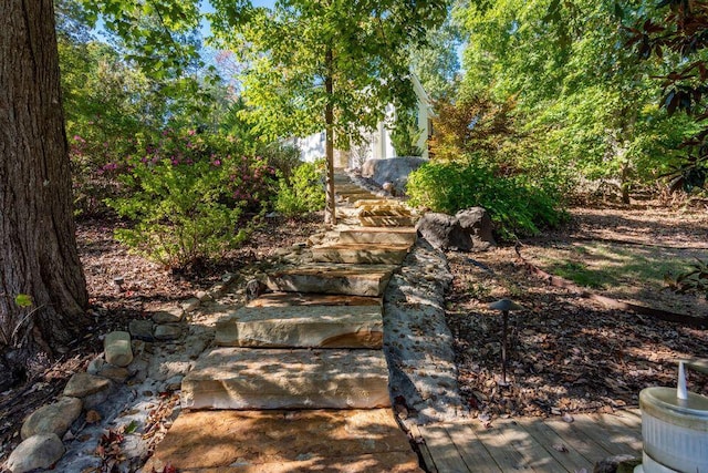 436 Oak Hills Drive Lots 4.5 & 6, Spring City, TN 37381 - view of yard with stairs