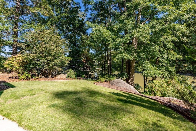 436 Oak Hills Drive Lots 4.5 & 6, Spring City, TN 37381 - view of green lawn