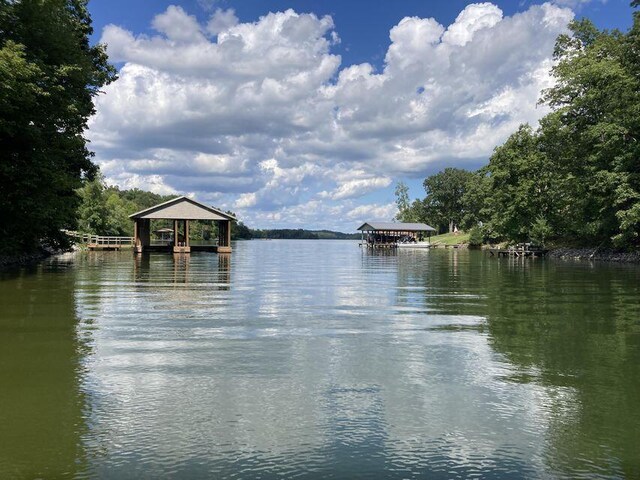 436 Oak Hills Drive Lots 4.5 & 6, Spring City, TN 37381 - water view