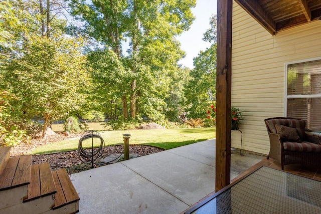 436 Oak Hills Drive Lots 4.5 & 6, Spring City, TN 37381 - view of patio