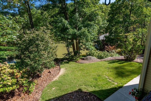 436 Oak Hills Drive Lots 4.5 & 6, Spring City, TN 37381 - view of grassy yard
