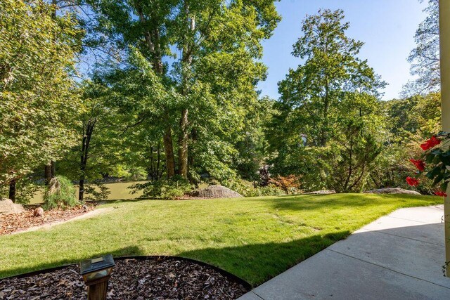 436 Oak Hills Drive Lots 4.5 & 6, Spring City, TN 37381 - view of grassy yard