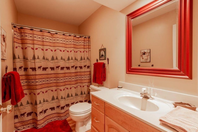 436 Oak Hills Drive Lots 4.5 & 6, Spring City, TN 37381 - bathroom with vanity, toilet, and curtained shower