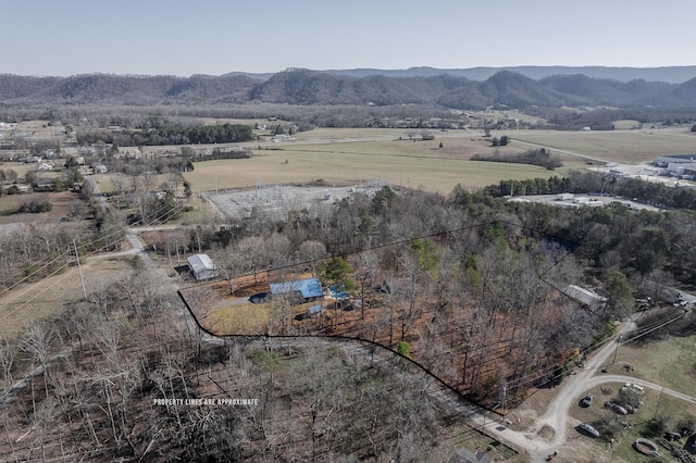 bird's eye view featuring a mountain view and a rural view