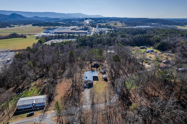 birds eye view of property featuring a mountain view