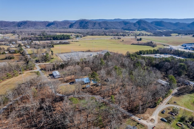 birds eye view of property with a mountain view and a rural view