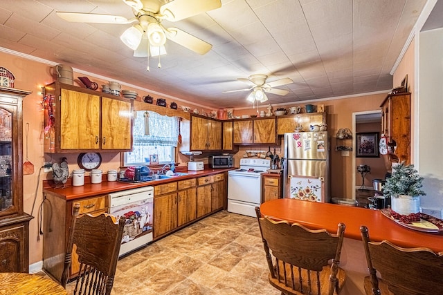 kitchen with ceiling fan, sink, crown molding, and stainless steel appliances