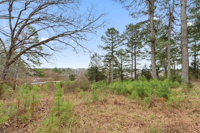 view of local wilderness