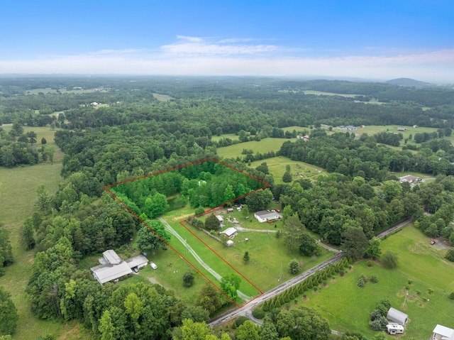 393 Friendship Ln, Delano, TN 37325 - view of rural area with property parcel outlined and a forest