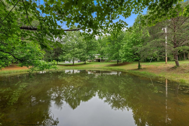 393 Friendship Ln, Delano, TN 37325 - water view