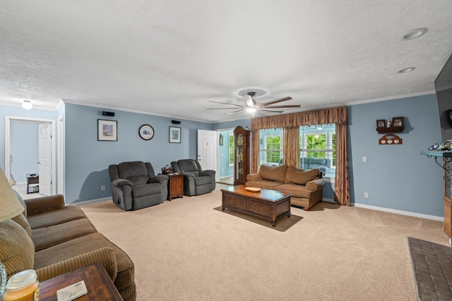 393 Friendship Ln, Delano, TN 37325 - living room with carpet floors, ornamental molding, ceiling fan, a textured ceiling, and baseboards
