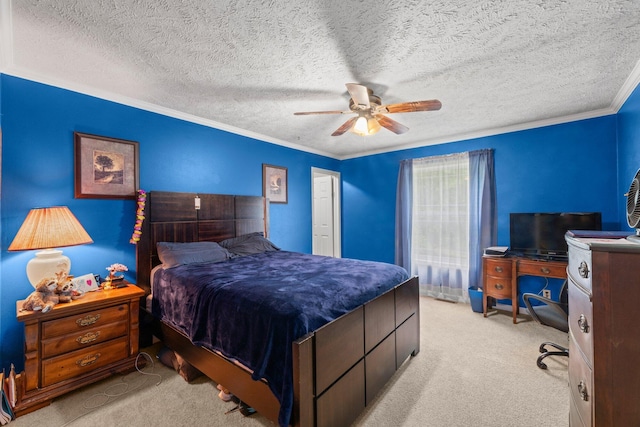 393 Friendship Ln, Delano, TN 37325 - bedroom with carpet floors, ornamental molding, a ceiling fan, and a textured ceiling