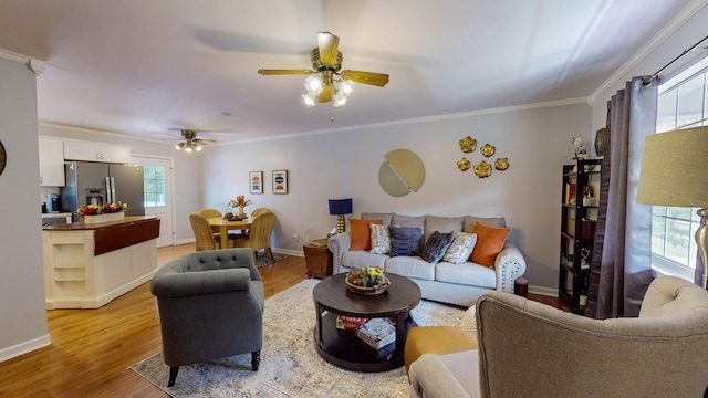 living room with ornamental molding, ceiling fan, and light wood-type flooring