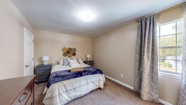 bedroom featuring carpet and multiple windows