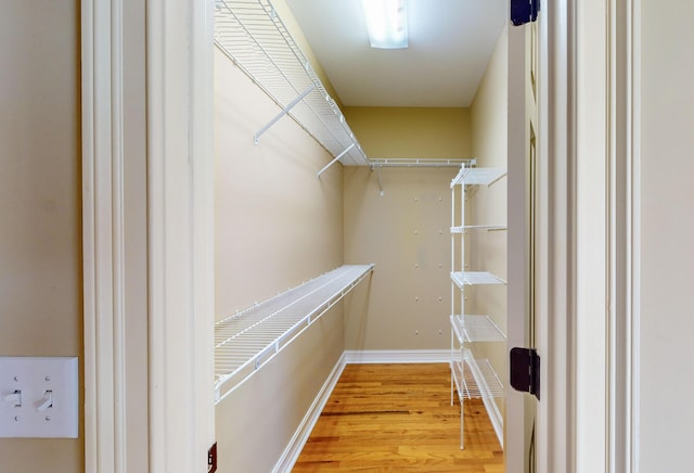 spacious closet featuring wood-type flooring