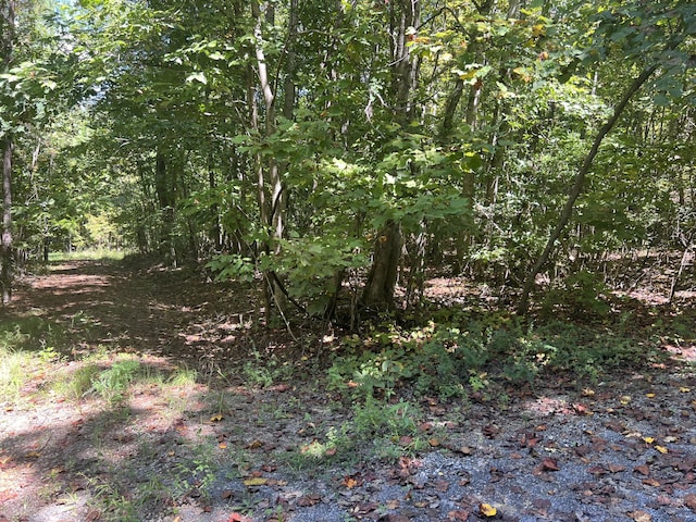 00 Lower River Rd, Decatur, TN 37322