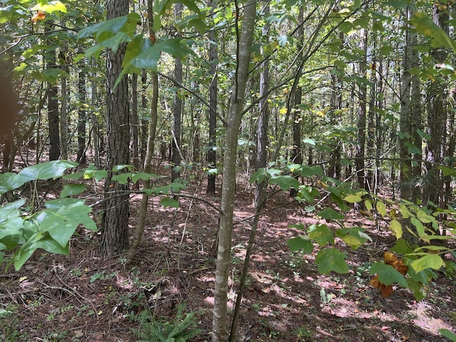 00 Lower River Rd, Decatur, TN 37322