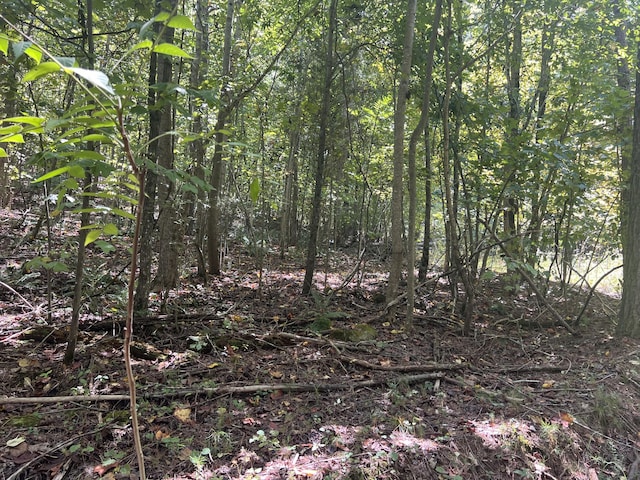00 Lower River Rd, Decatur, TN 37322