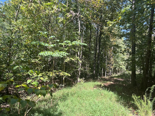 00 Lower River Rd, Decatur, TN 37322