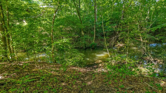 260 White Oak Rd, Decatur, TN 37322 - photo 38