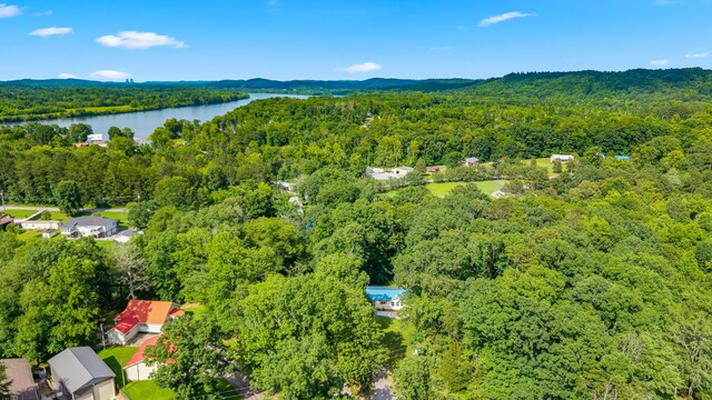 260 White Oak Rd, Decatur, TN 37322 - photo 28
