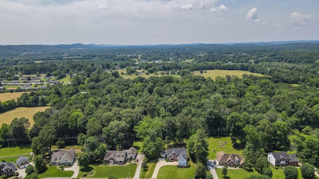 3503 Willow Oak Cir NW, Cleveland, TN 37312 - photo 77