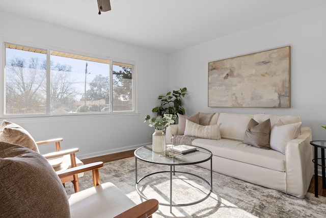 living room with ceiling fan and hardwood / wood-style floors