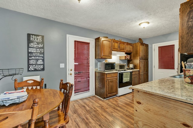 kitchen featuring electric stove, light countertops, stainless steel microwave, light wood-style flooring, and under cabinet range hood