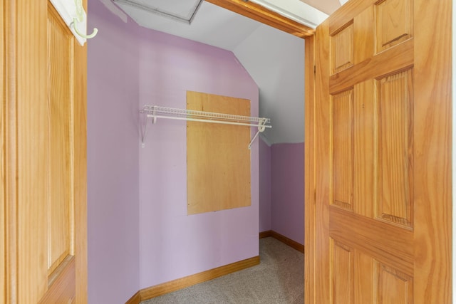 7105 Toestring Valley Rd, Spring City, TN 37381 - spacious closet with carpet flooring and lofted ceiling