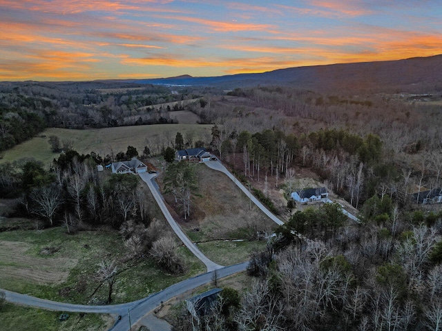 bird's eye view with a mountain view