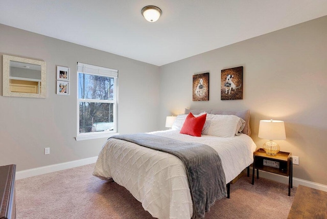 bedroom with carpet floors