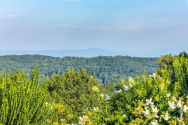 property view of mountains