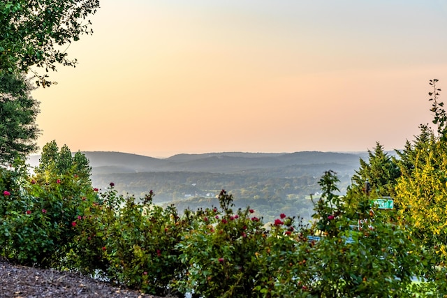 property view of mountains