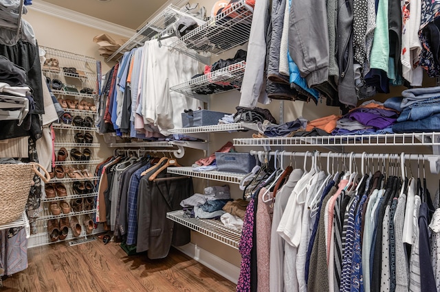 spacious closet with wood-type flooring