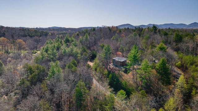 170 Timber Oaks Dr, Turtletown, TN 37391 - photo 36