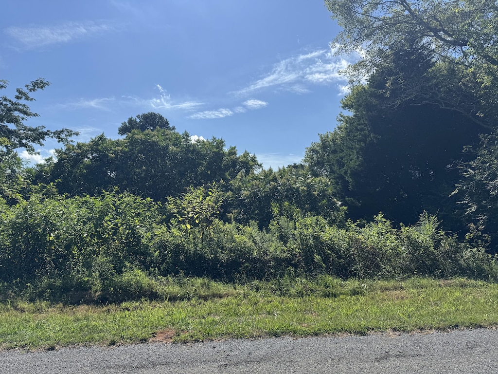 00 Cedar Valley Ln, Decatur, TN 37322 - photo 2